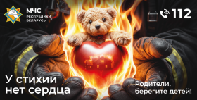 В Гомельской области на пожарах травмировано 7 детей: кто виноват?
