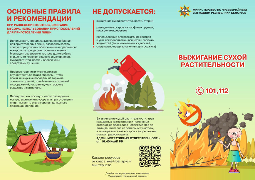 С начала года в области зафиксировано более 680 пожаров в природных экосистемах