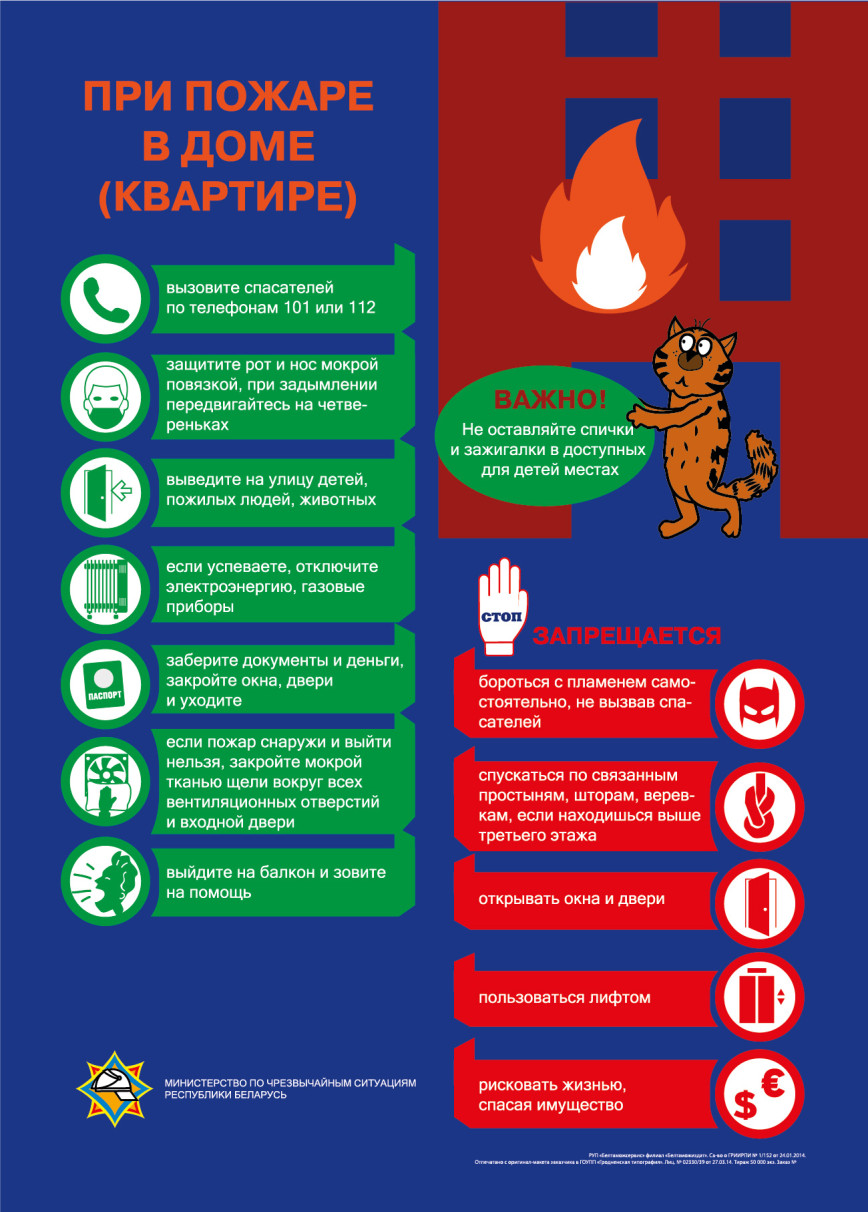 Свыше 500 пожаров: о чем говорит оперативная сводка МЧС Гомельской области?